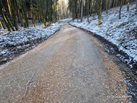 Gozdne ceste (3)
